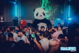 Closing Party