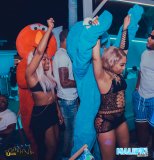 Pool Party - Upscale Uptown